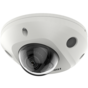 DS-2CD2543G2-IWS