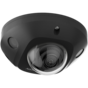 DS-2CD2543G2-IWS