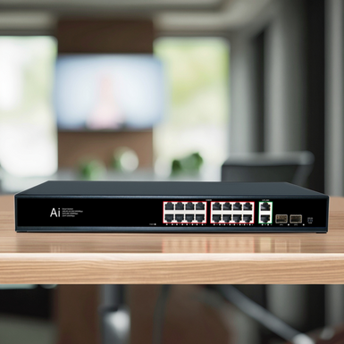 16G22GB 16 Full Port Gigabit POE Switch